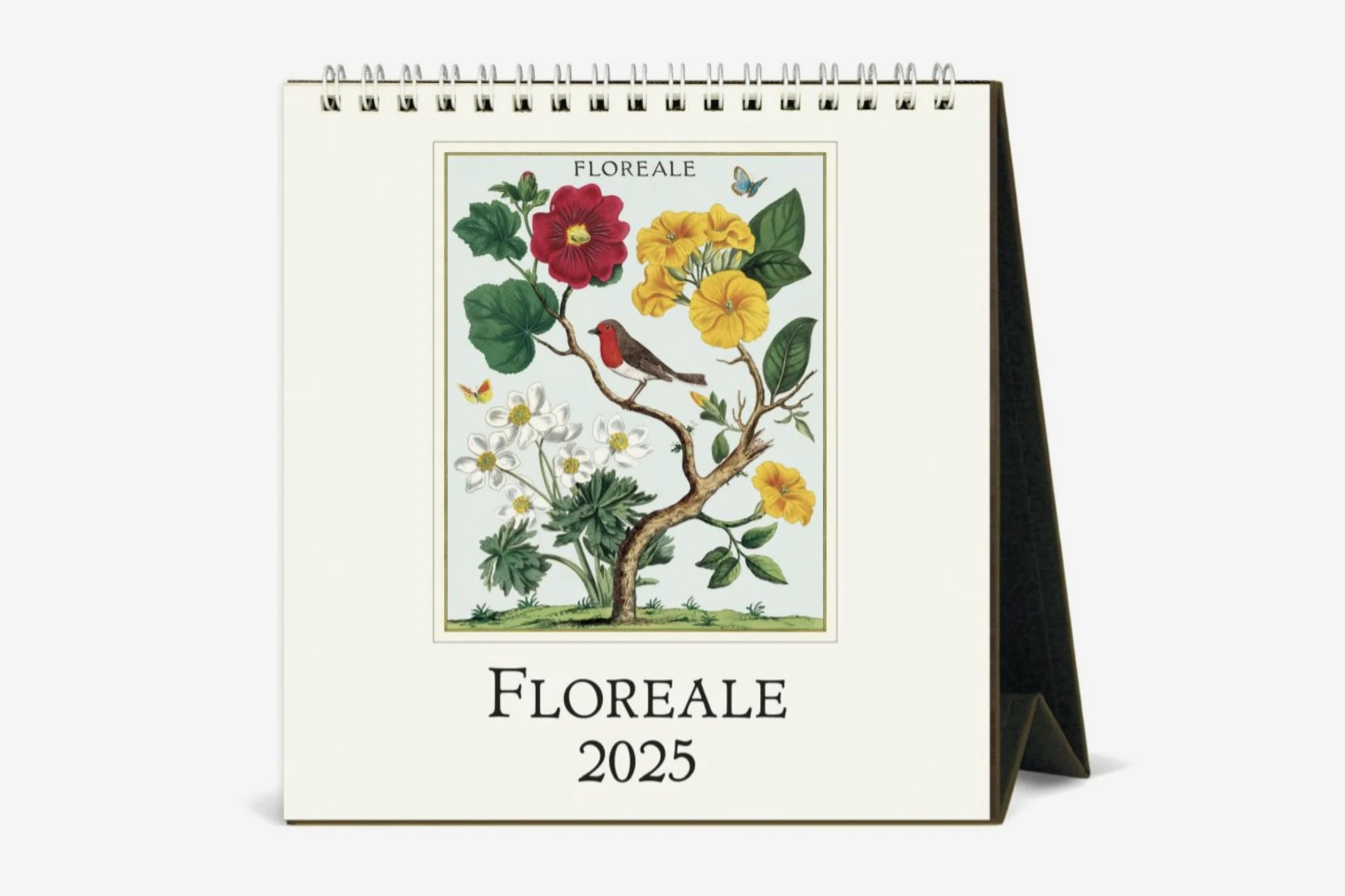 Cavallini Desk Calendar 2025 