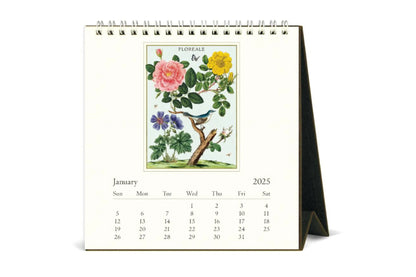 Cavallini 2025 Desk Calendar - Floreale | Flywheel | Stationery | Tasmania