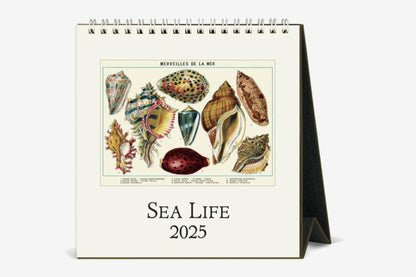 Cavallini 2025 Desk Calendar - Sea Life | Flywheel | Stationery | Tasmania