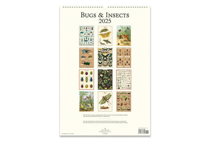 Cavallini 2025 Wall Calendar - Bugs & Insects | Flywheel | Stationery | Tasmania