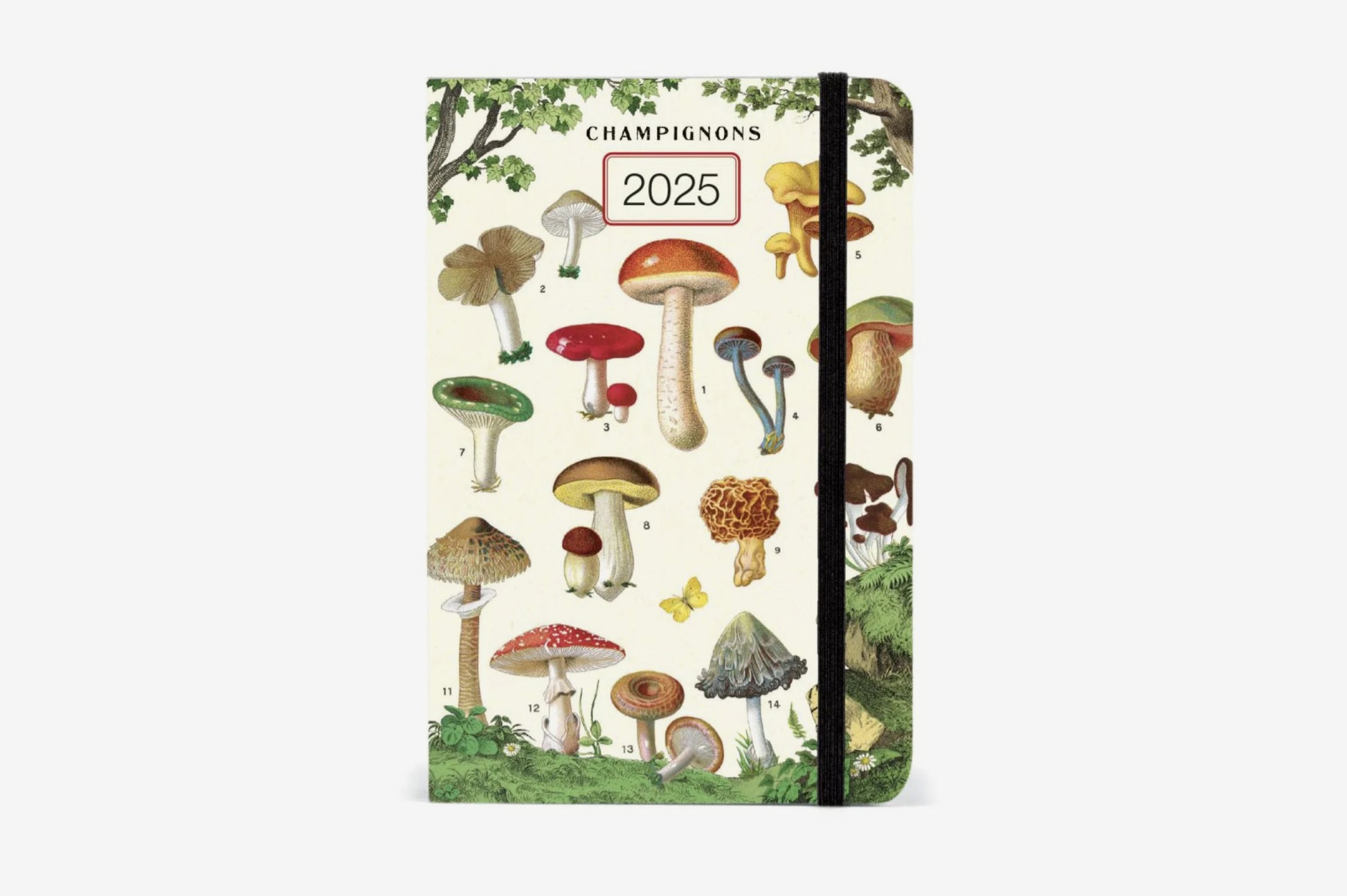 Cavallini 2025 Weekly Planner - Mushrooms | Flywheel | Stationery | Tasmania