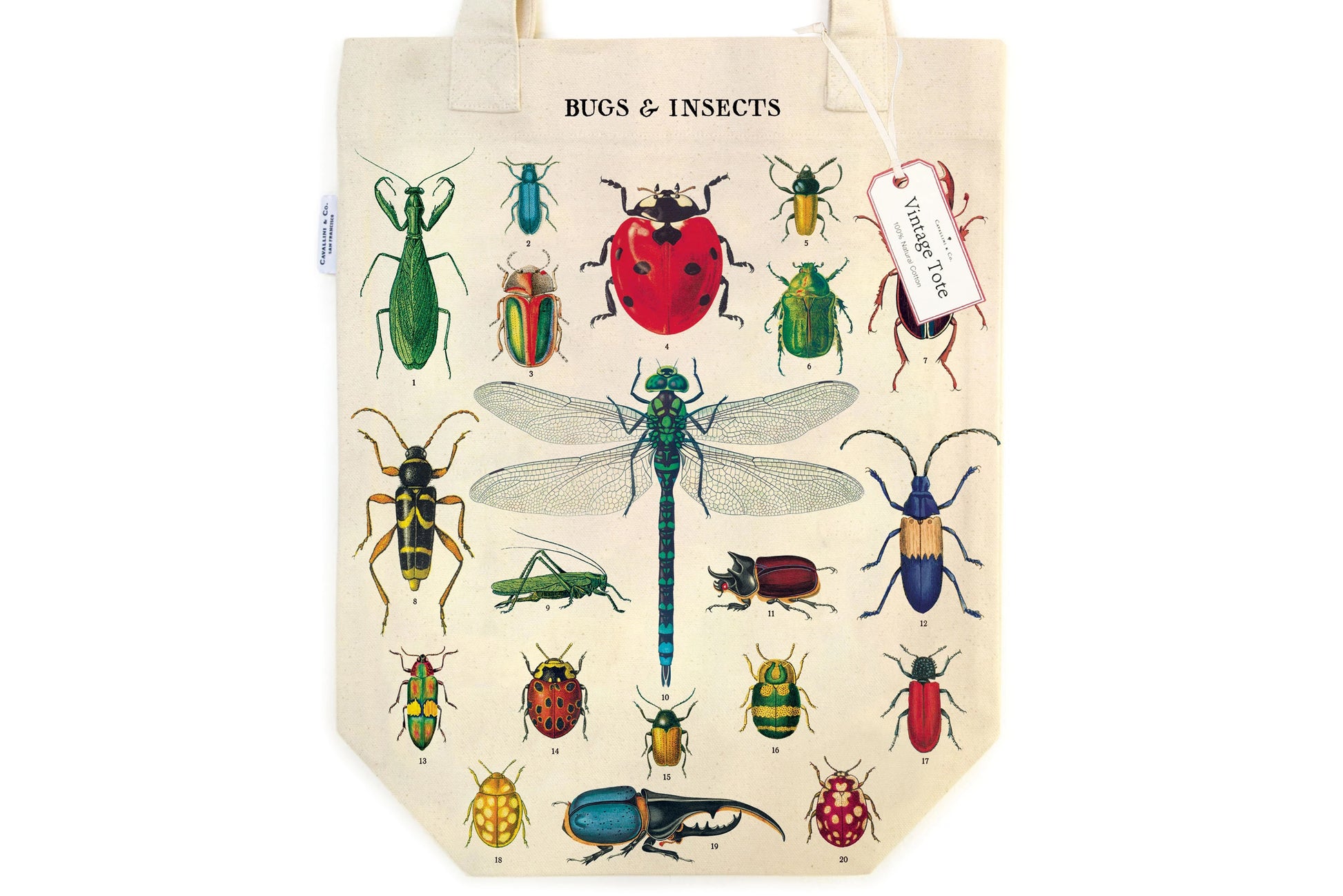 Cavallini Tote Bag - Bugs & Insects | Flywheel | Stationery | Tasmania