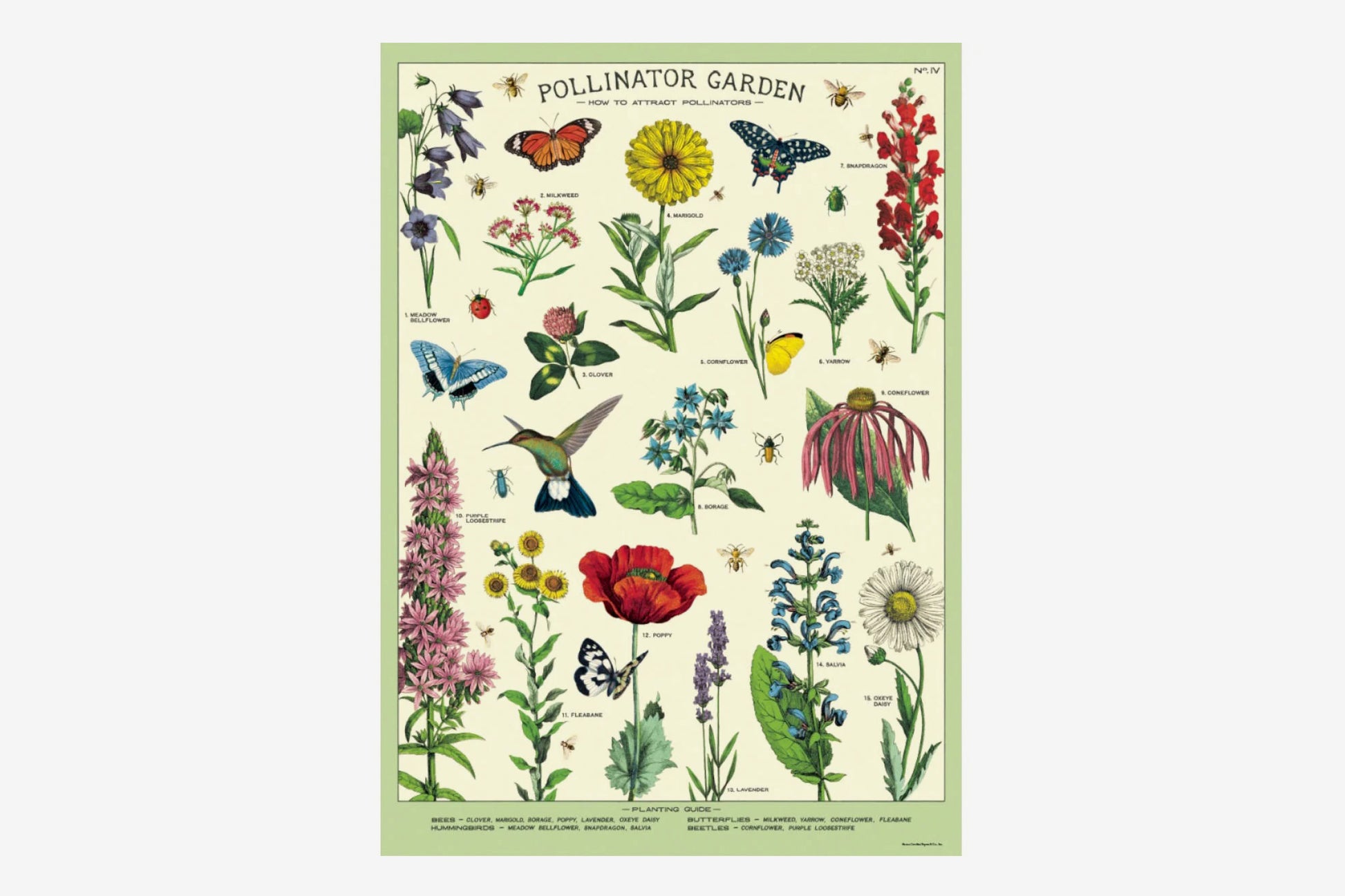 Cavallini Poster - Pollinator Garden | Flywheel | Stationery | Tasmania