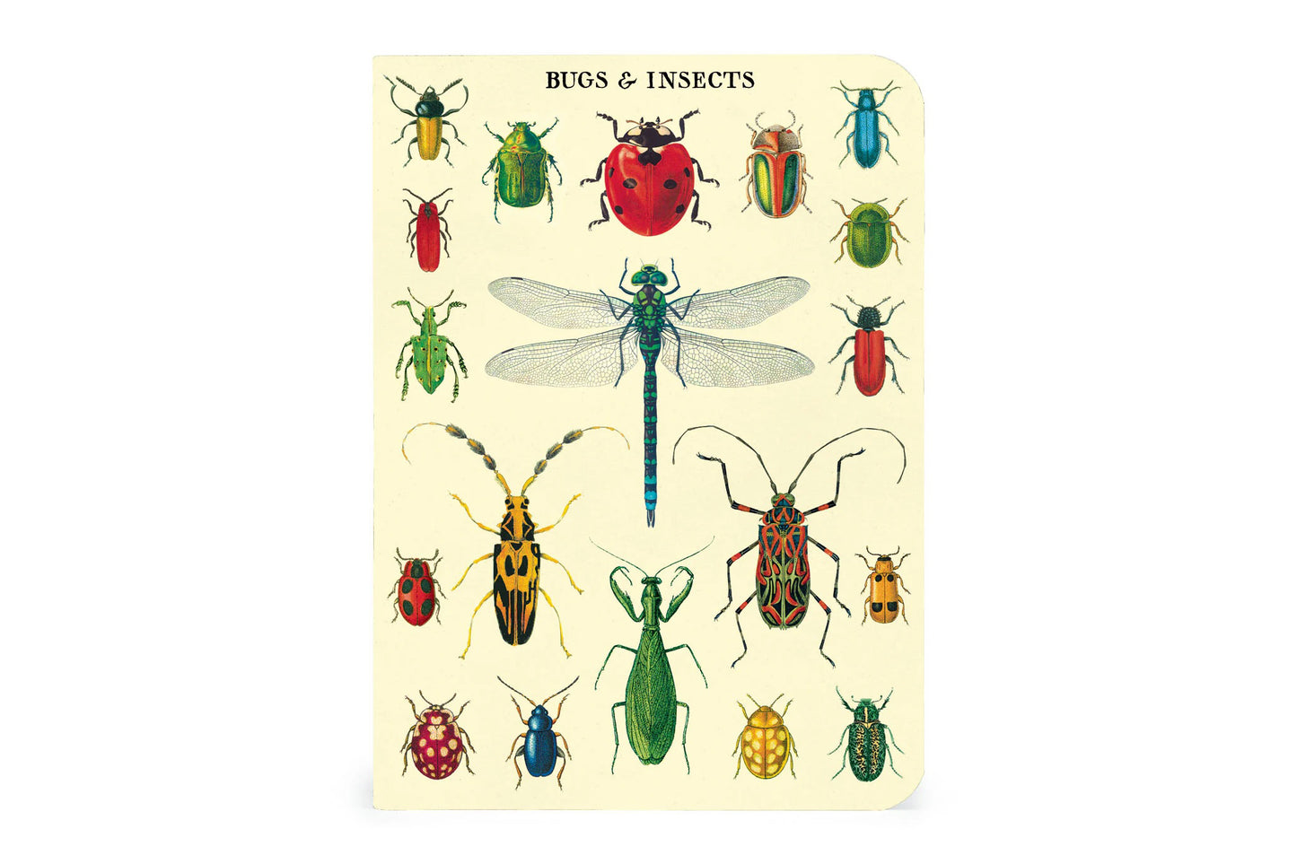 Cavallini Mini Notebook Set - Bugs & Insects | Flywheel | Stationery | Tasmania