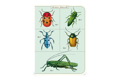 Cavallini Mini Notebook Set - Bugs & Insects | Flywheel | Stationery | Tasmania