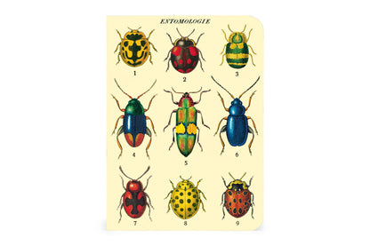 Cavallini Mini Notebook Set - Bugs & Insects | Flywheel | Stationery | Tasmania