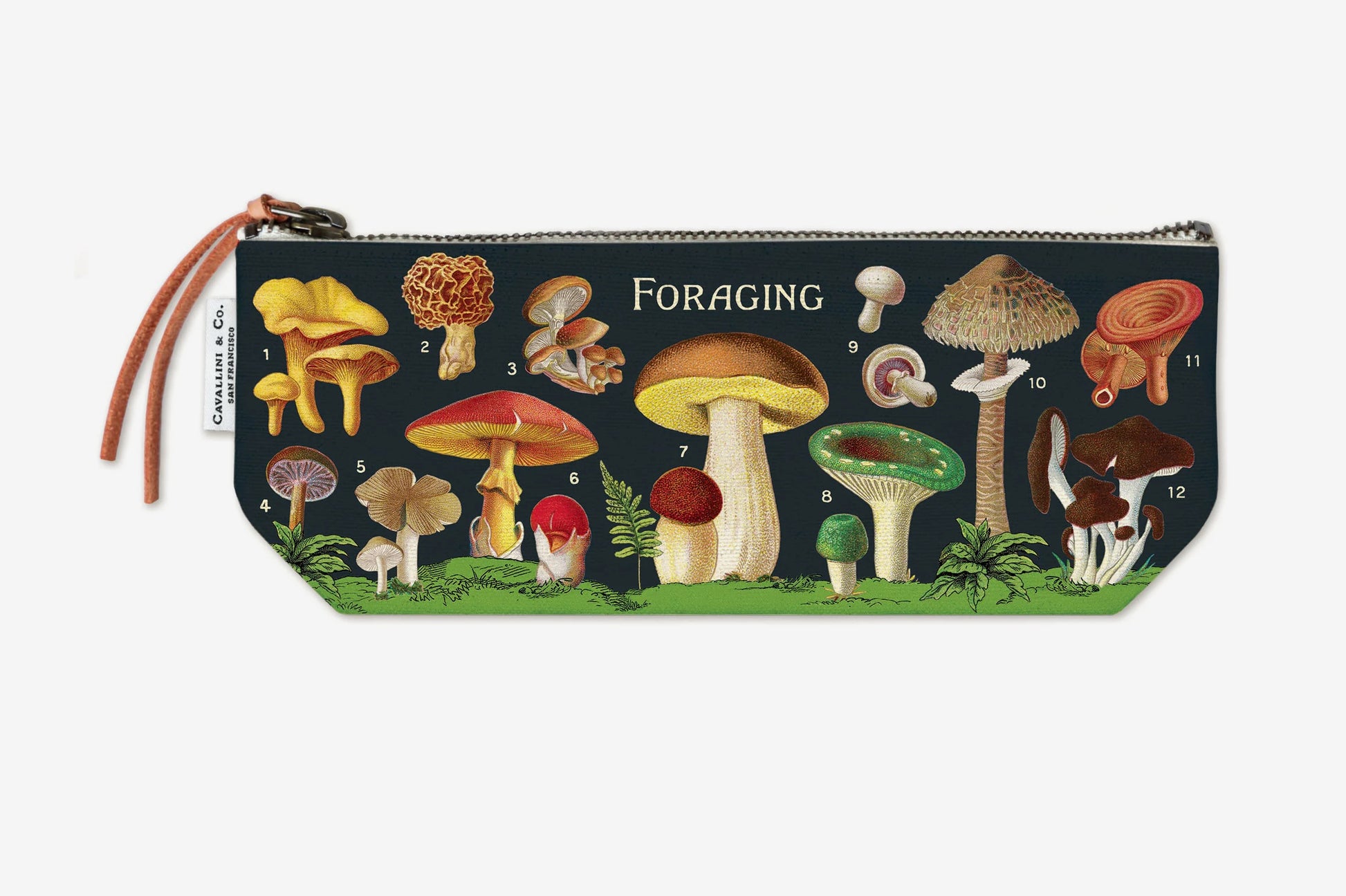 Cavallini Mini Pouch - Foraging | Flywheel | Stationery | Tasmania