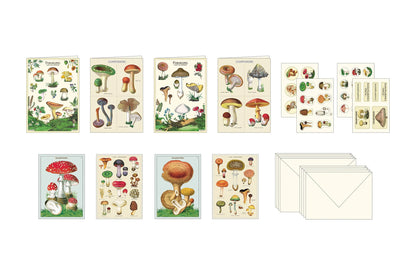 Cavallini Stationery Set - Mushrooms | Flywheel | Stationery | Tasmania