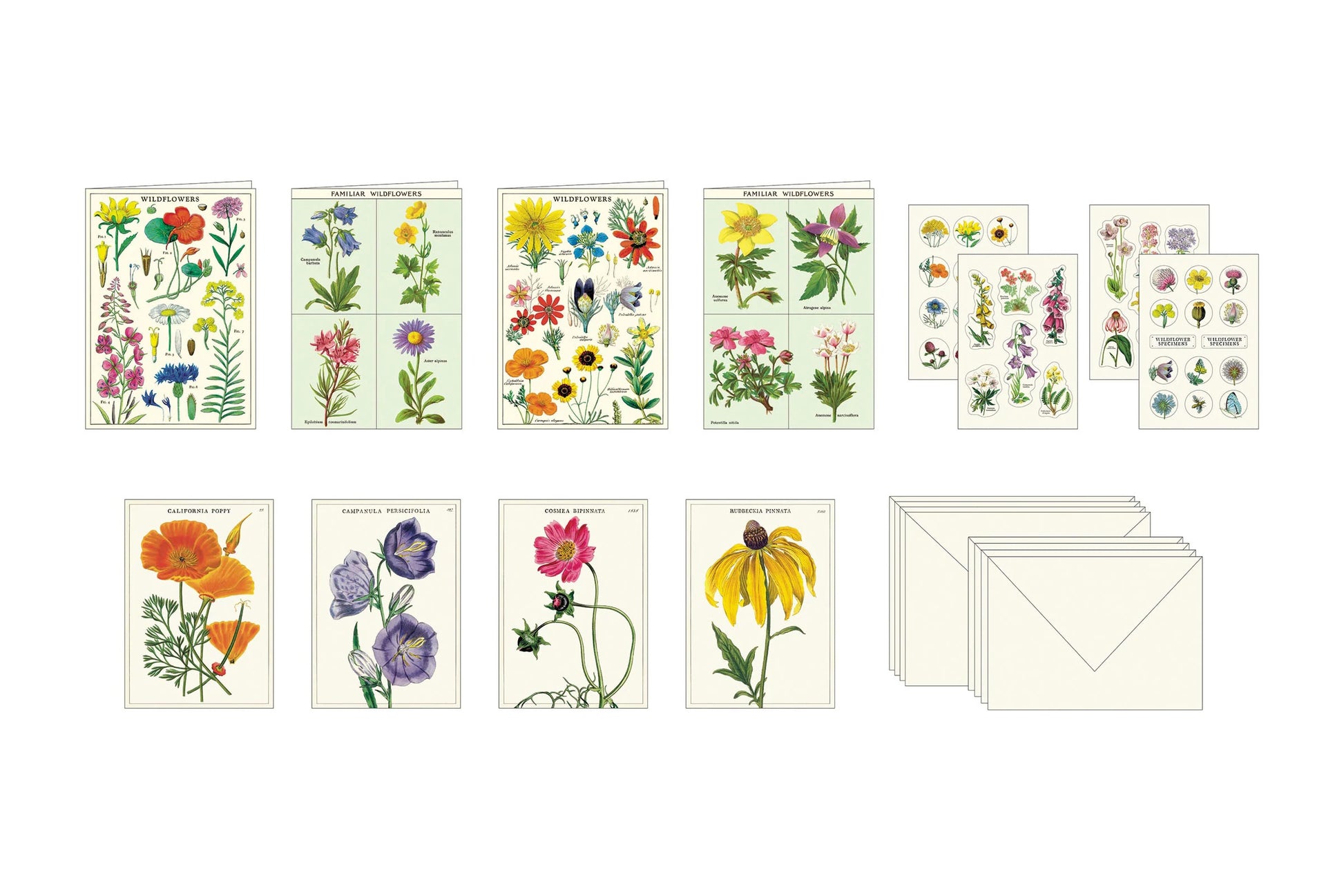 Cavallini Stationery Set - Wildflowers | Flywheel | Stationery | Tasmania