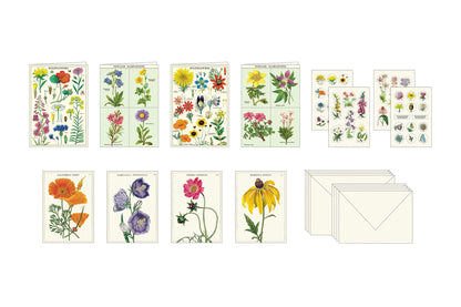 Cavallini Stationery Set - Wildflowers | Flywheel | Stationery | Tasmania