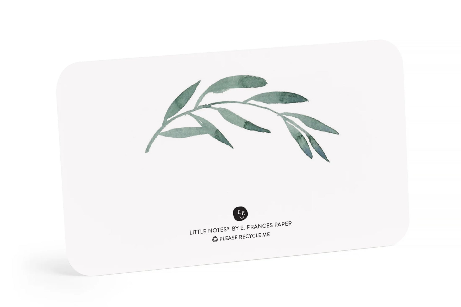 E. Frances Little Notes - Olive Branch | Flywheel | Stationery | Tasmania