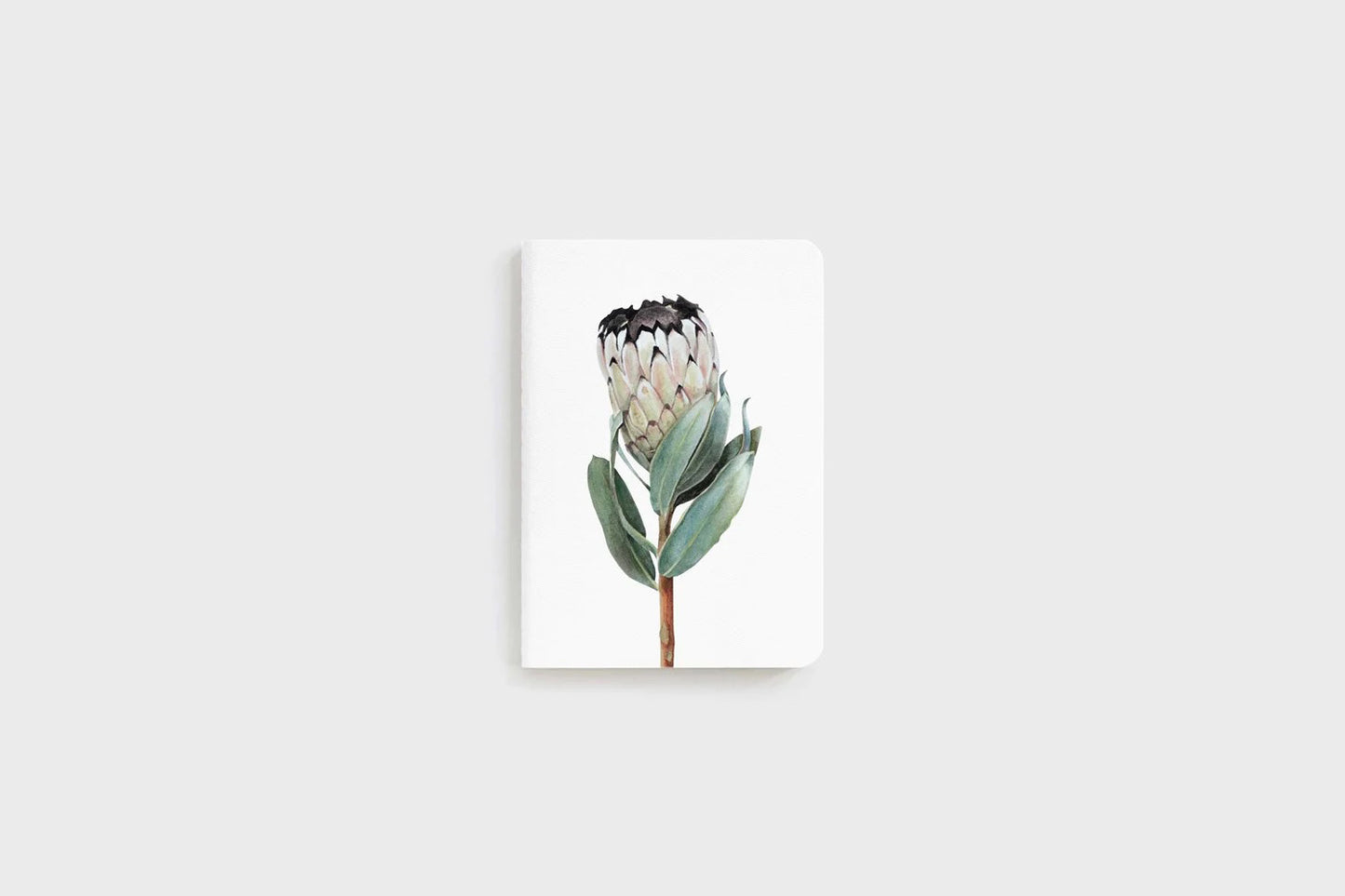 Father Rabbit Pocket Notebook - Protea | Flywheel | Stationery | Tasmania