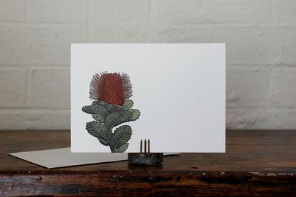 Letterpress Greeting Card - Banksia | Flywheel | Stationery | Tasmania