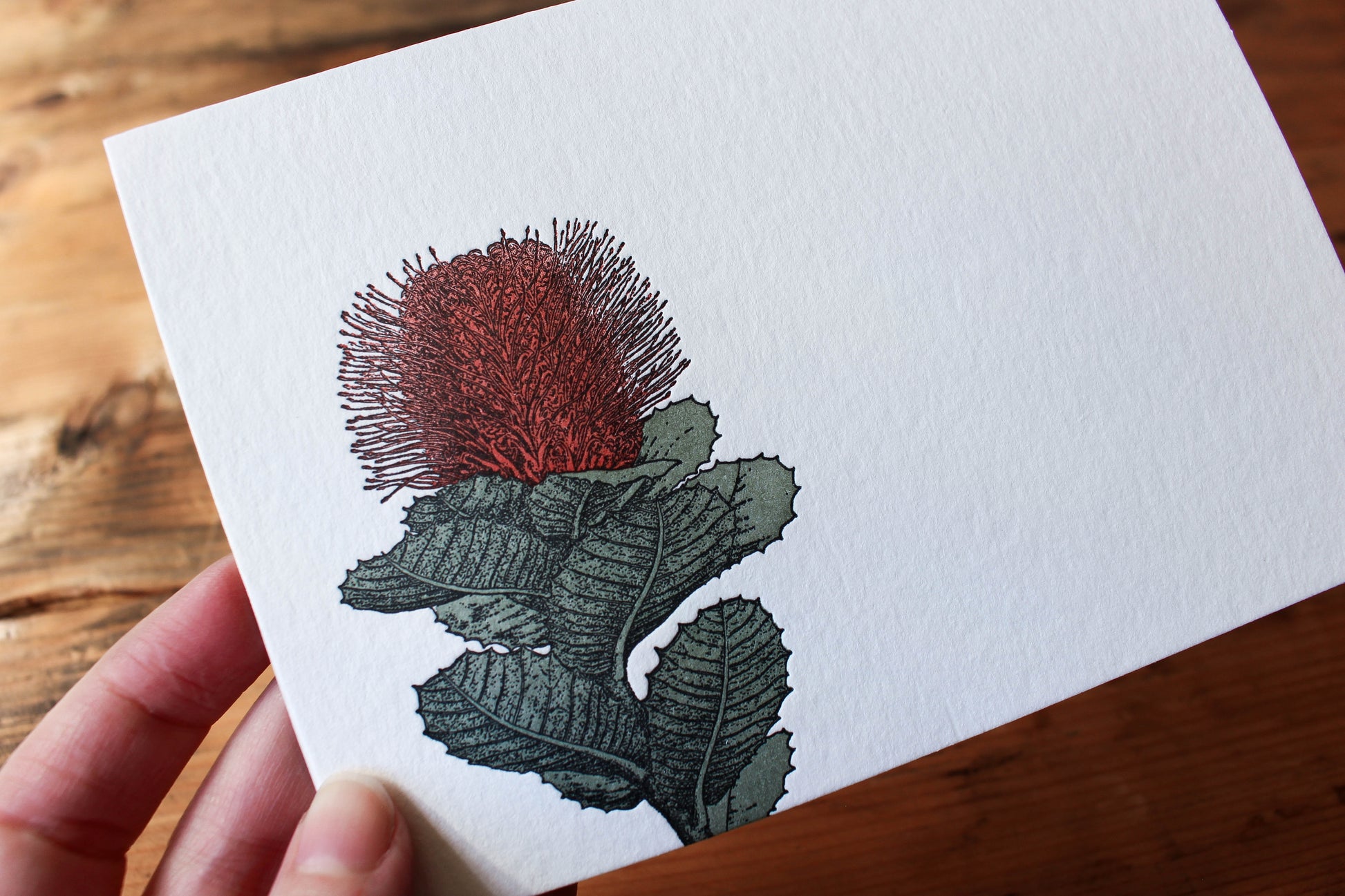 Letterpress Greeting Card - Banksia | Flywheel | Stationery | Tasmania