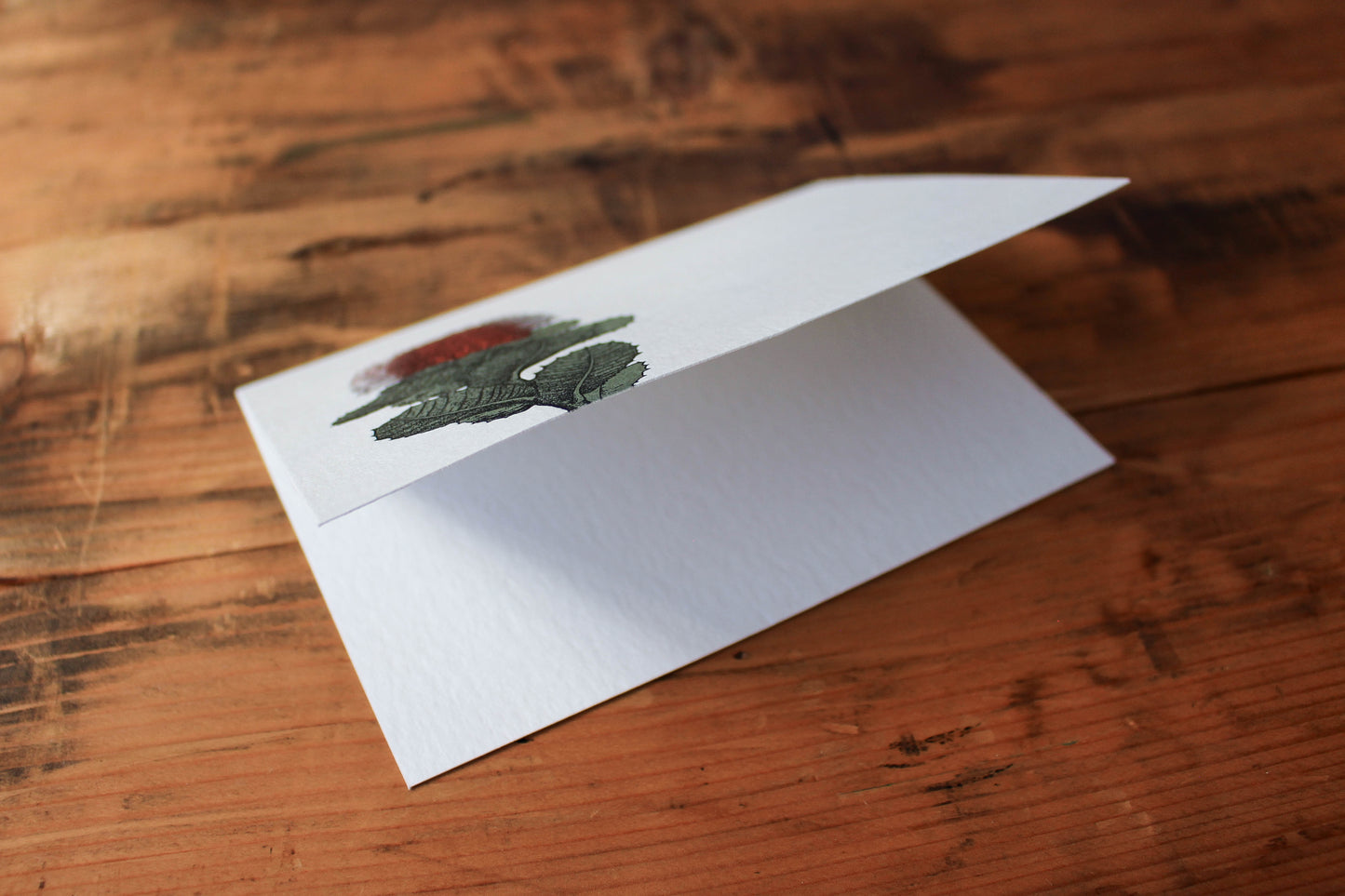 Letterpress Greeting Card - Banksia | Flywheel | Stationery | Tasmania