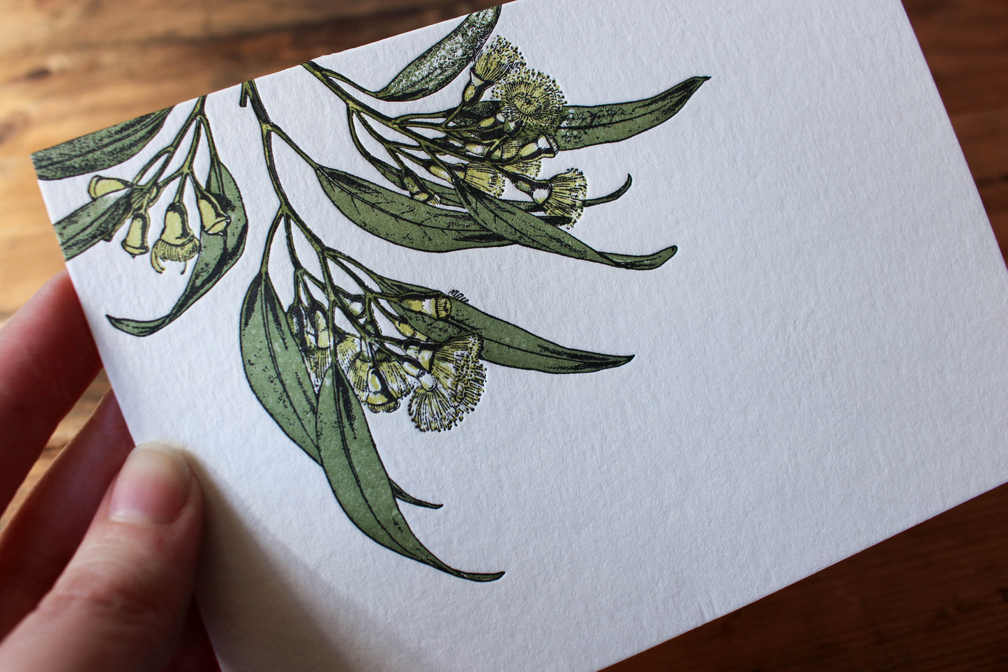 Letterpress Greeting Card - Eucalyptus | Flywheel | Stationery | Tasmania