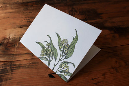 Letterpress Greeting Card - Eucalyptus | Flywheel | Stationery | Tasmania