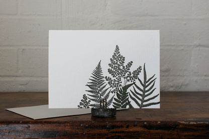 Letterpress Greeting Card - Ferns | Flywheel | Stationery | Tasmania