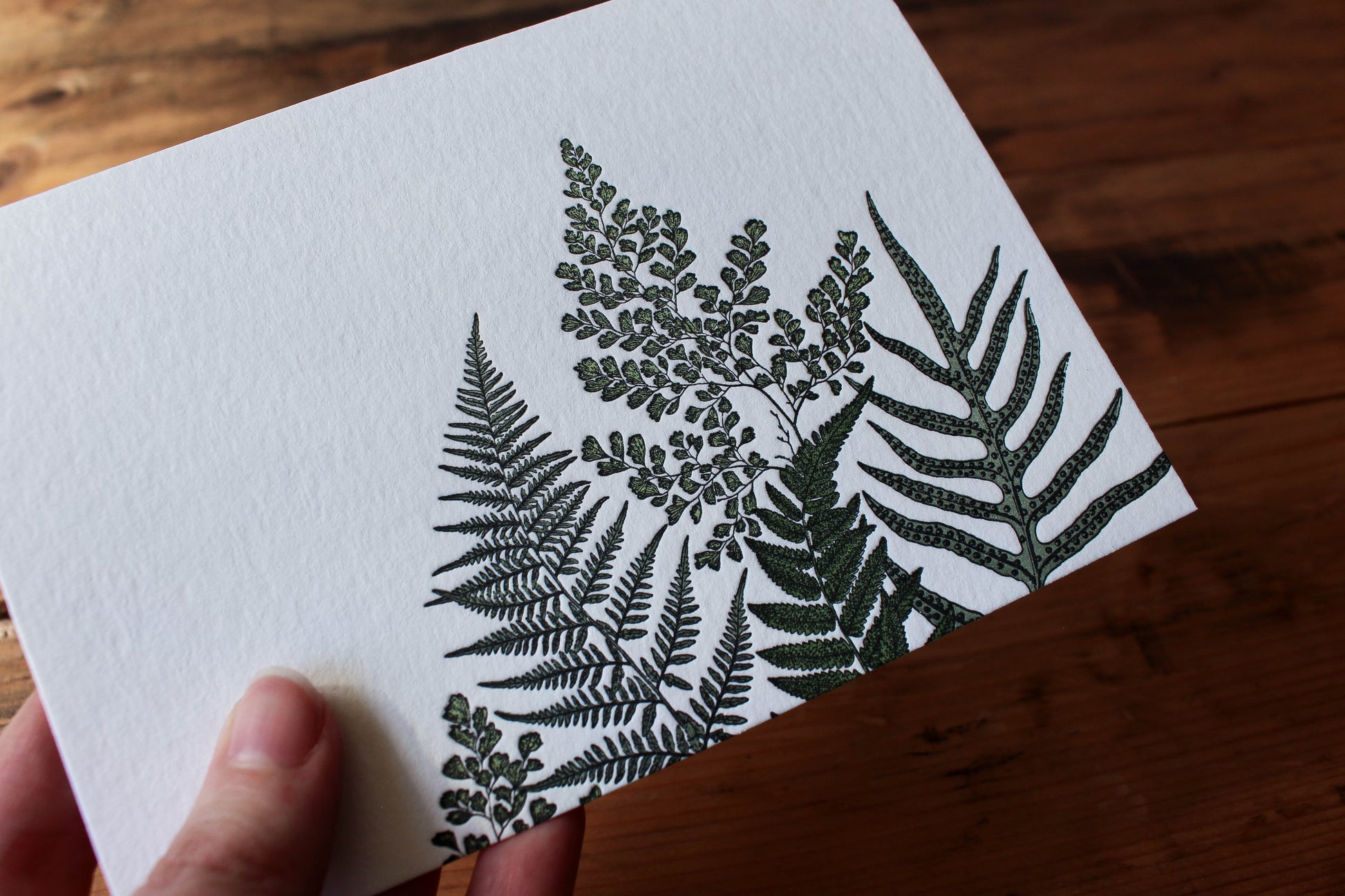 Letterpress Greeting Card - Ferns | Flywheel | Stationery | Tasmania