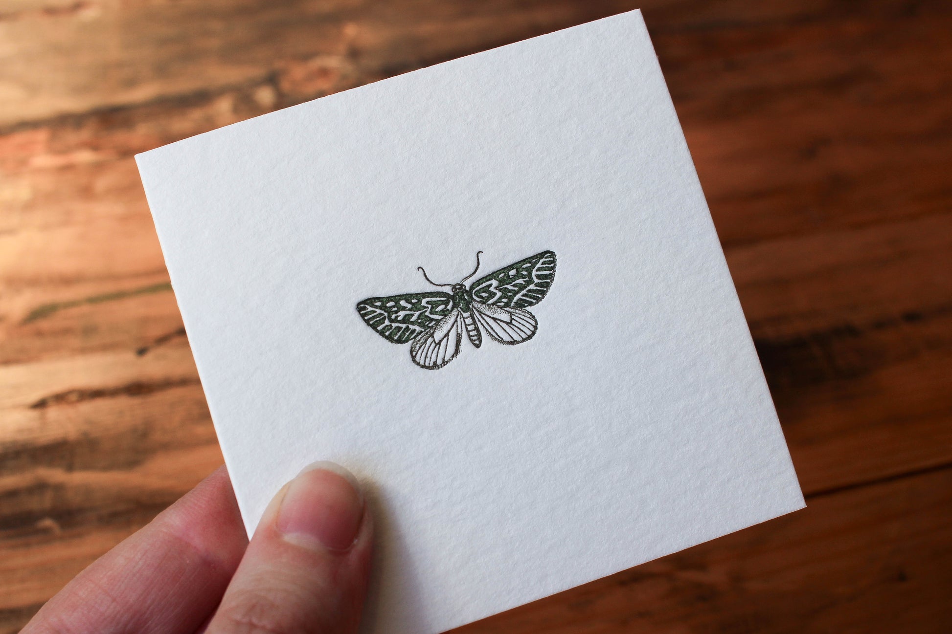 Letterpress Notecard - Moth | Flywheel | Stationery | Tasmania