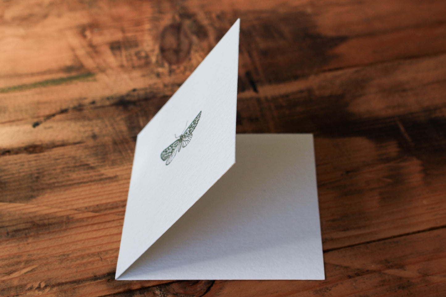 Letterpress Notecard - Moth | Flywheel | Stationery | Tasmania