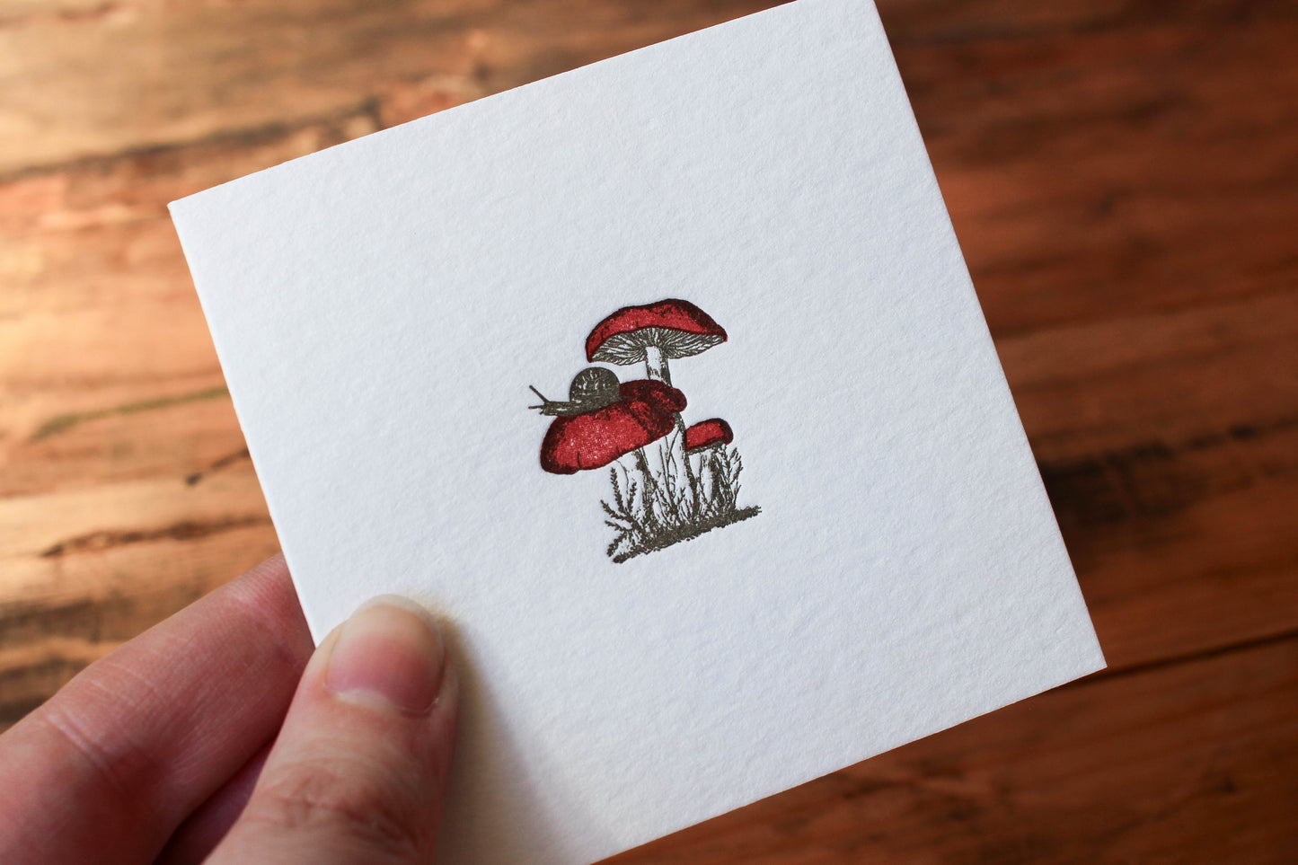 Letterpress Notecard - Snail & Mushrooms | Flywheel | Stationery | Tasmania