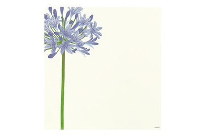 Kami Letter & Envelope Set - Summer Flowers Blue | Flywheel | Stationery | Tasmania