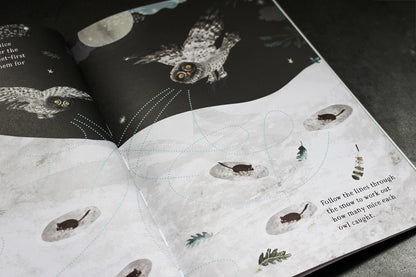 The Big Sticker Book of Birds | Flywheel | Stationery | Tasmania